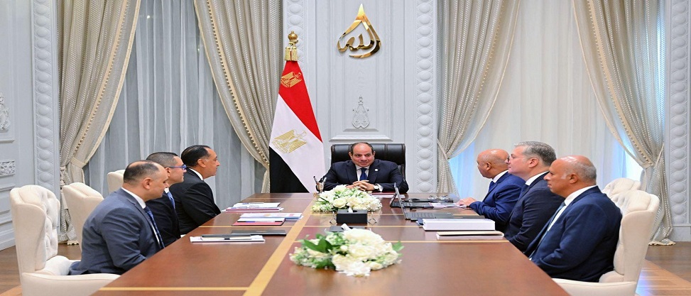 السيسي يوجّه بتسريع توطين صناعات البتروكيماويات داخل مصر